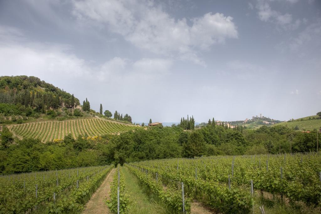 Podere Montese Country House San Gimignano Bagian luar foto